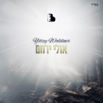 Ulei Yerachem - Single