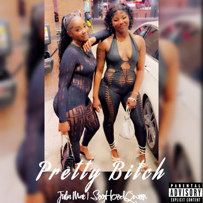 Pretty Bitch (feat. Sexy HoodQween) - Single