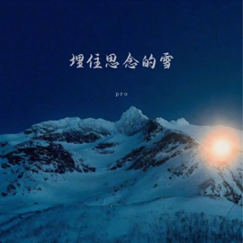 埋住思念的雪 (伴奏) PRO
