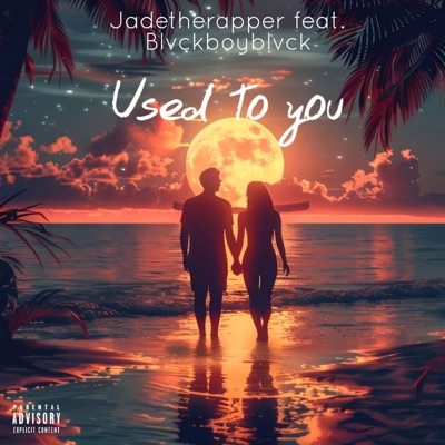 Used to you (feat. Blvckboyblvck) - Single
