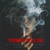 Perdido pela Sul - Single