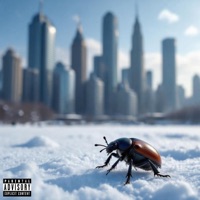 Paul McCartney Flow (Day 14) - Single - baby jae