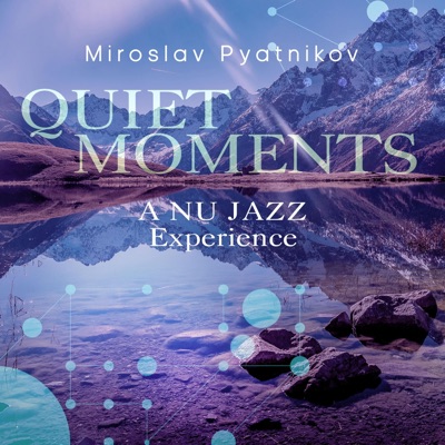 Quiet Moments (A Nu Jazz Experience)