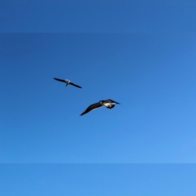 Get Out - Single