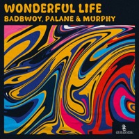 Wonderful Life - Single - Badbwoy, Palane & Murphy