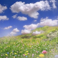 Inconvenice - EP - eckogut