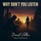 Why Don't You Listen - David Allen lyrics