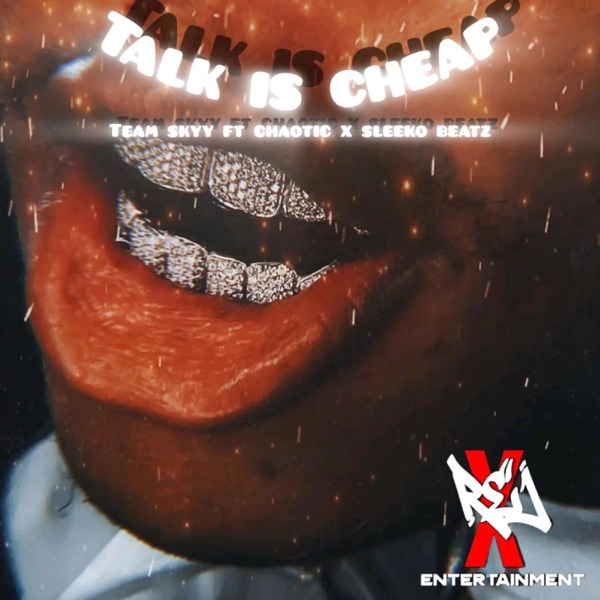 Talk Is Cheap (feat. Chaotic Fam & Sleeko Beatz) - Single