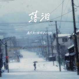 落泪 (伴奏) 怪怪Zziaga & 鹿文轩