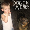 dog in a cage - Single