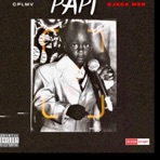 PAPI - Single