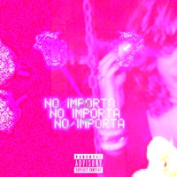 No Importa - Single - Brailing