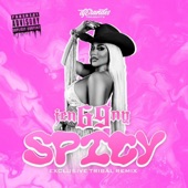 Spicy (Exclusive Tribal Remix) artwork