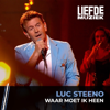 Luc Steeno - Waar Moet Ik Heen (Uit Liefde Voor Muziek) artwork