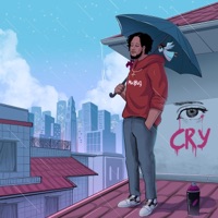 Cry - Single - PS Joey
