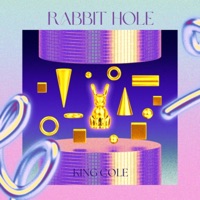 Rabbit Hole - Single - Cole Williams
