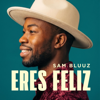 Sam Bluuz - Eres feliz portada