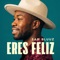 Eres feliz artwork