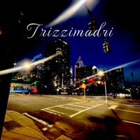 Dolla Sign's (feat. Imadri) - Single - Trizzzle