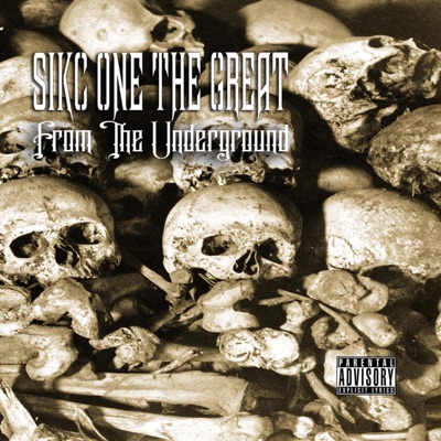 Vandals in motion - Single