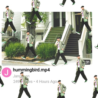 hummingbird - Single