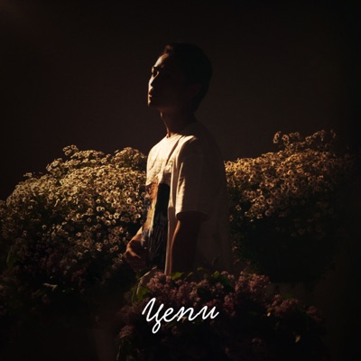 Цепи - Single