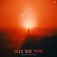 Tell You Now - Single - Voster & Gallardo