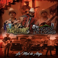 La Miel De Abeja (En Vivo) - Single - Los Renovados De California & Legado De Cosala