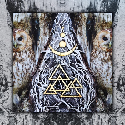 Nocturnal Memory - Single
