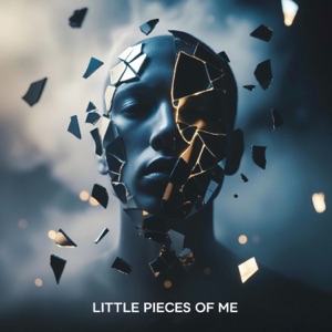 Little Pieces Of Me