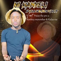 Ni hanyeli (feat. Praise the pro, Nowbiey manowber & Kulza Rsa) - Single - Smallgeethevocalist098