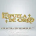 Que Locura Enamorarme De Ti