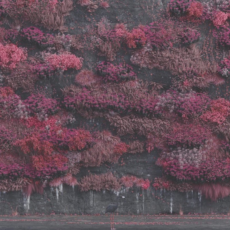 Emergence by Sleep Token album cover