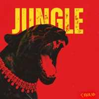 Jungle - Single - Cxnrvd