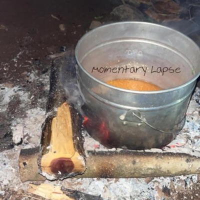 Momentary Lapse (Demo) - Single