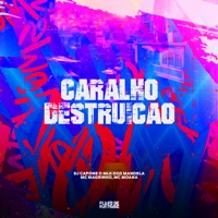 Caralho Destruiçao (feat. Mc Moana) - Single - Mc Magrinho