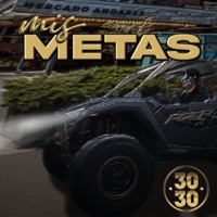 Mis Metas - Single - Grupo Descarga Del 3030