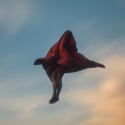The Veil - EP