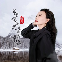 希望你下次哭是因为幸福 (DJ九零版) - Single - 梅朵