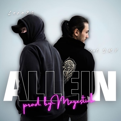 Allein (feat. S.K.Y Musik) - Single
