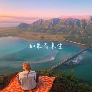 如果有来生