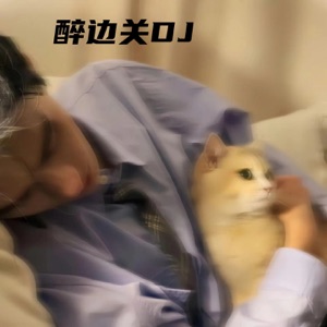 醉边关 (DJ版) - Single