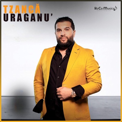 Intersoft Records - Sistemul Shaggy