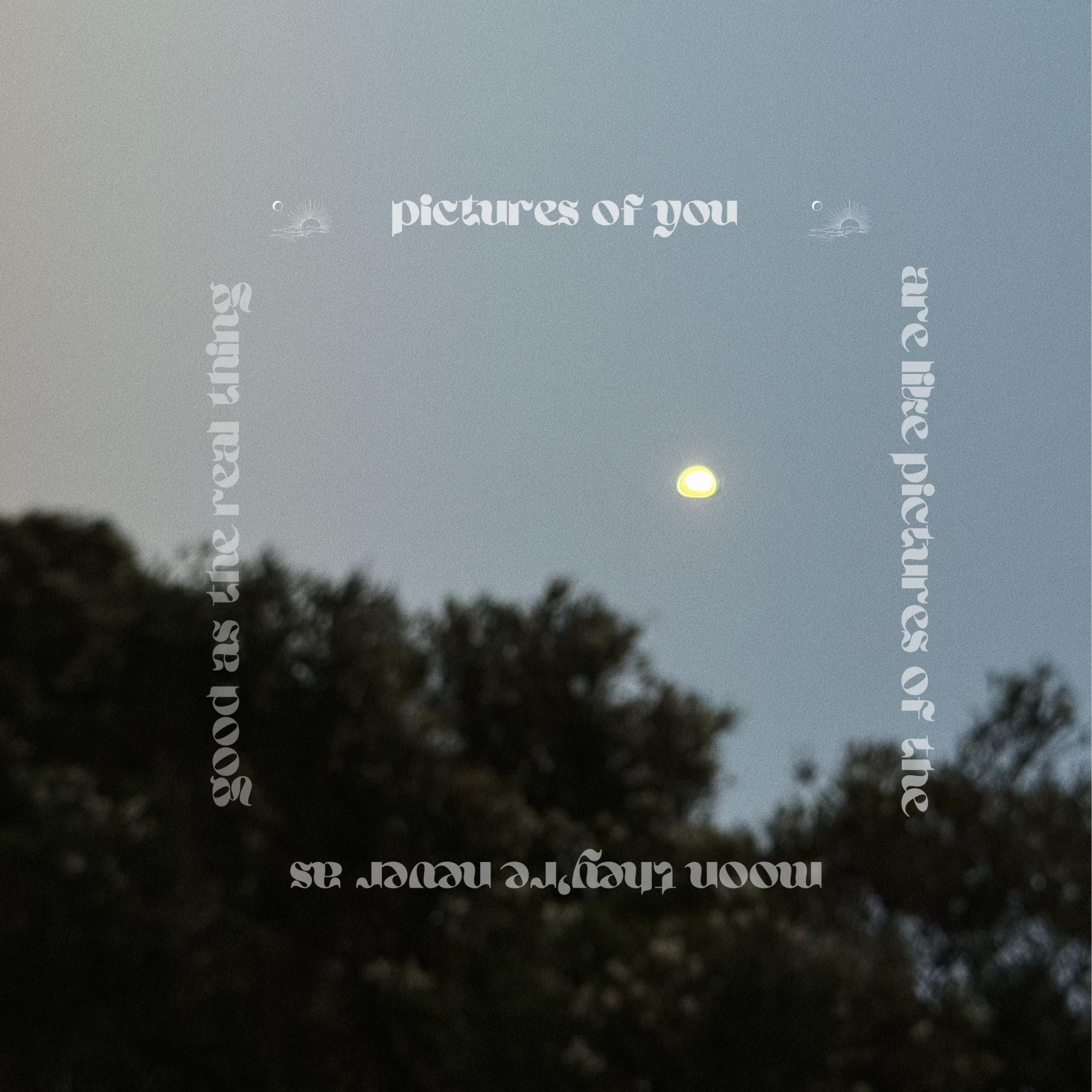 Pictures of the Moon - Single