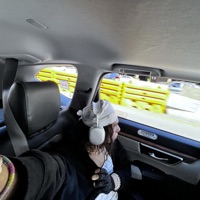 ignored - Single - angelus archive