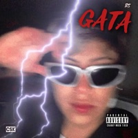 GATA (feat. Rs) - Single - Csk