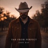 Far From Perfect