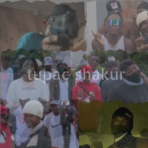 Tupac Shakur (feat. TheRonald MP, Lil Alvin2.0, Elianbt, Panther2.0 & PabonTheNine)