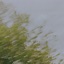 Sirocco - Single