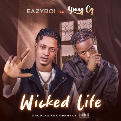 Wicked Life (feat. Young OG vibnic) - Single